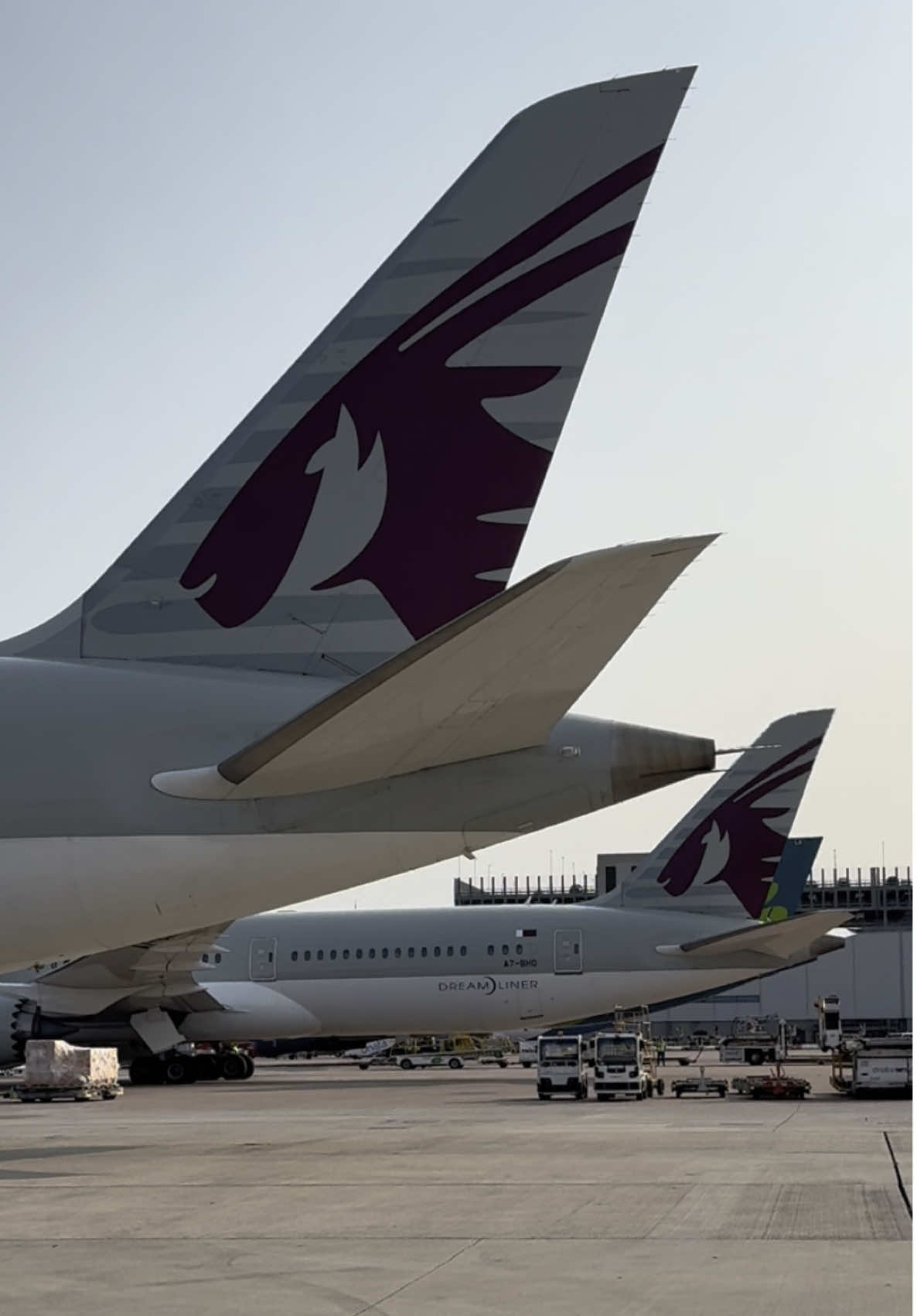 🎉Starting from today, 4th June, @Qatar Airways have increased services from Manchester to their home in Doha to 24 weekly flights.  The route will be served by their fleet of Airbus A350-1000s and Boeing 787-9s.  ✈️Whether travelling to Doha or onwards to one of their many destinations across the world, the additional services offer more choice from Manchester Airport. #airport #aviation #airfield #airplane #qatar #qatarairways #planespotting #plane #planespotters 