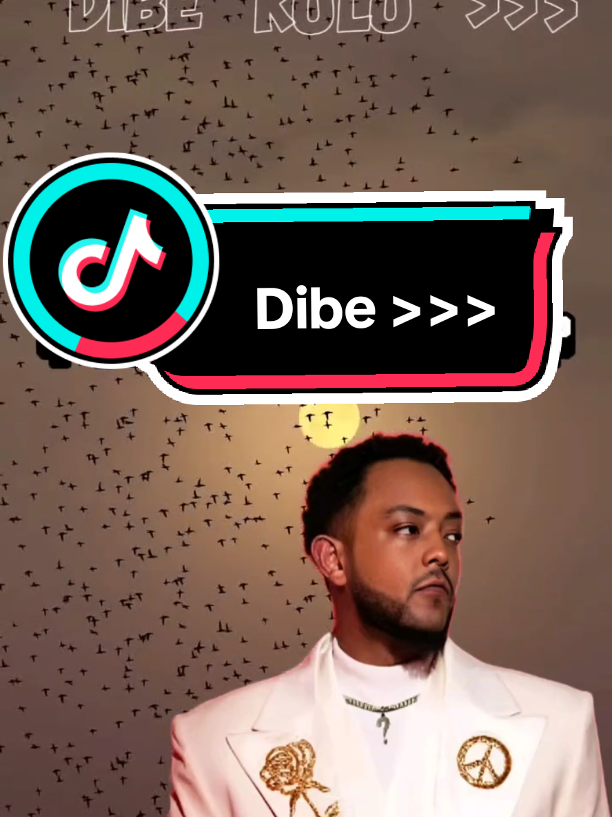 Dibe >>>>> . . . . . . . . #dibekuluu #music #fyp #tiktok #fyp #ሙዚቃ 