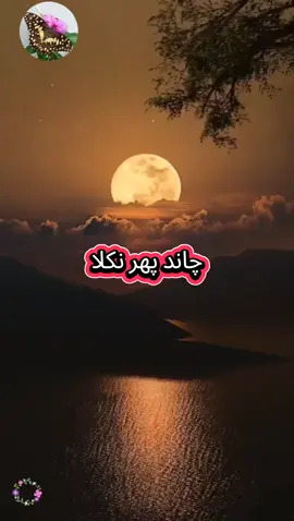 #lyrics #trending #oldisgold #foryou #viral 