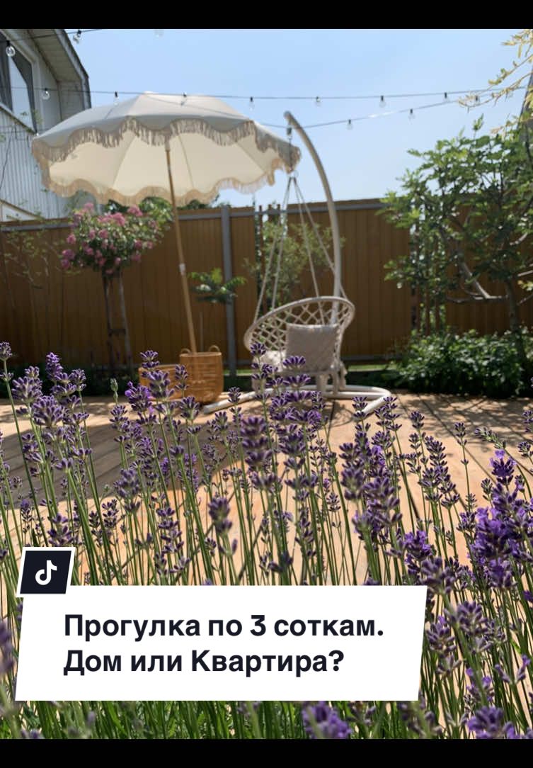 ЧТО ПОКАЗАТЬ БЛИЖЕ? На что сделать дополнительный обзор ? Пишите в комментах 👇🏽 Ваша #дачникнатрехсотках Дачный юмор, юмор, тренды, дачник на трех сотках, красивый сад, любимый сад, сад и огород, жизнь в доме, семья, сад с нуля, ландшафтный дизайн, сад своими руками #дачныйюмор #садснуля #жизньвдоме #садсвоимируками #ландшафтныйдизайн #садиогород #юмор 