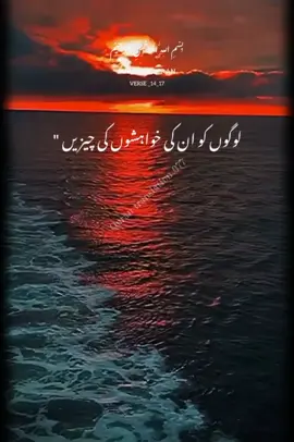 Quran translation video  Quran Recitation Beautiful  #quran #urduqurantranslation #quranrecitation #quran_alkarim #tarjumaurdu #videoviral #foryou #100kviews #foryoupagе #growmyaccount 