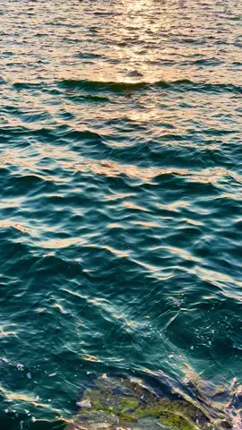 Paradise. #alexandria #sunset #explore #fypage 