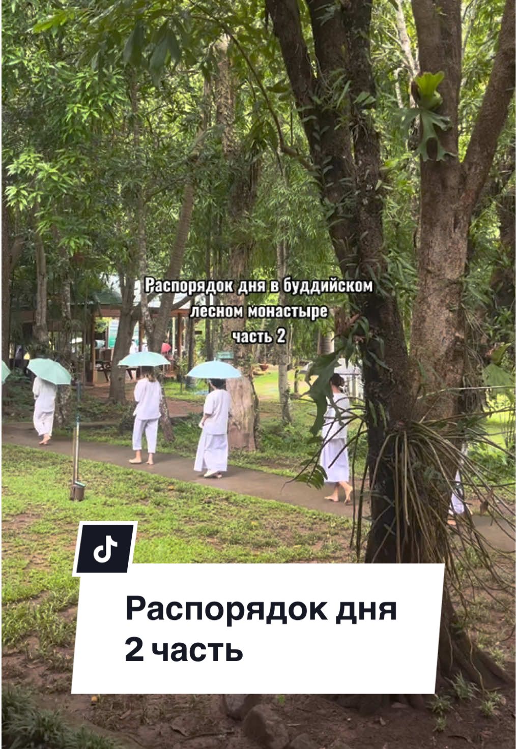 2 часть. Распорядок дня в буддийском монастыре Wat Pa Tam Wua 🪷