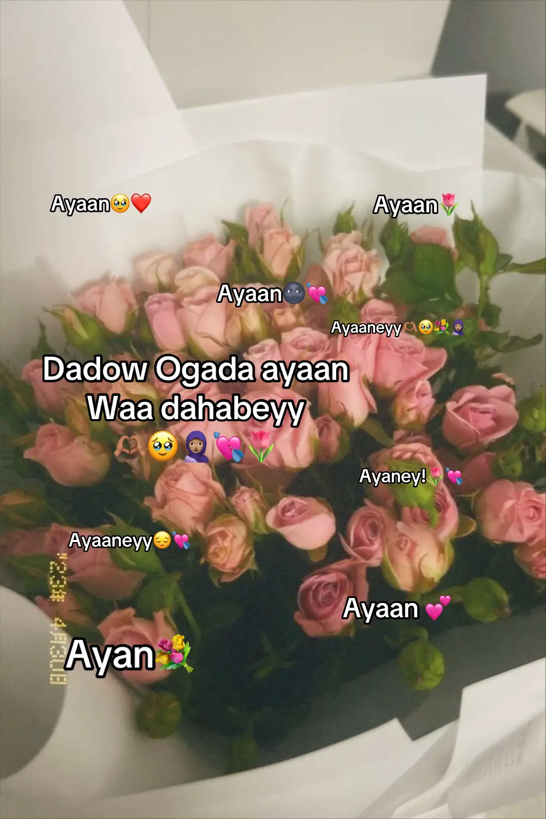 #viwesproblem #fvvvvvvvvvvvvvvvvvvvvvvvvvvvvv #viwes 