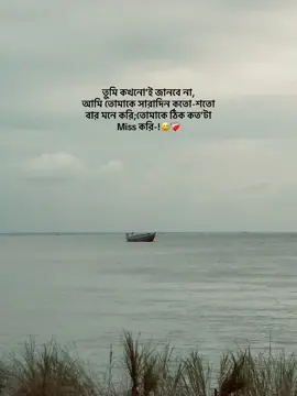 তুমি কখনো’ই জানবে না, আমি তোমাকে সারাদিন কতো-শতো  বার মনে করি;তোমাকে ঠিক কত’টা  Miss করি-!😅❤️‍🩹#foryou #500kviews #500kviews✔️ #200kviews #1000klikes 
