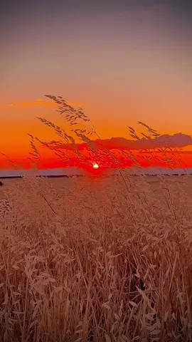 Bende o zaman şarkımızı açarım🥀#storilikvideolar📌#günbatımı#keşfetedüş#rojda#çawreşı