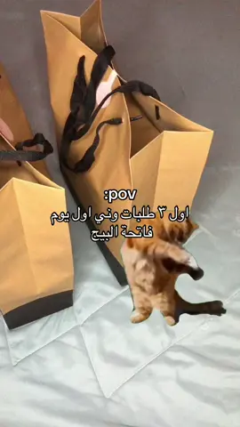 لمسة تزيد انوثتكِ💅🏻 بكج متكامل من عطر نسائي ورجالي  مع هدية مسك ومخمرية + التوصيل مجاني ✨#عطور 