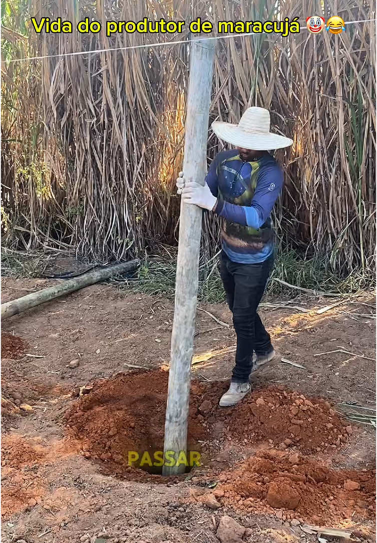A vida do produtor não está nada fácil 😂🤠🙏🏼#humor #capcut_edit #agro #agronomia #agropecuaria #agronegocio 