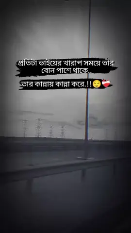 প্রতিটা ভাইয়ের খারাপ সময়ে তার বোন পাশে সাথে..💓😔 #foryou #foryoupage #viral #fypシ゚viral 