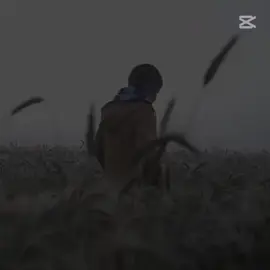 #CapCut 