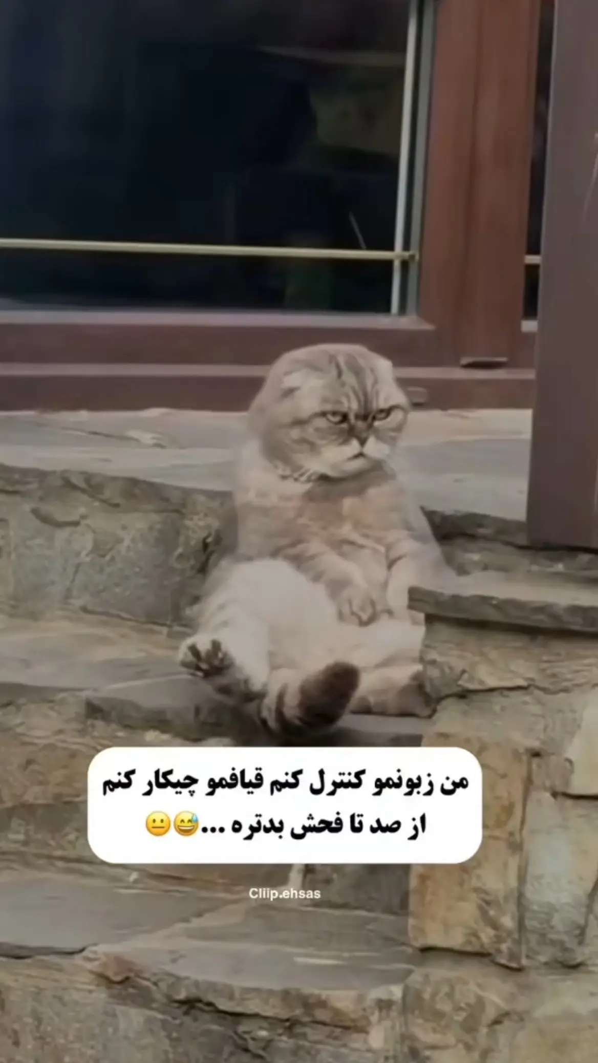 #for #you #usa🇺🇸 #viral #v #afghanistan🇦🇫 #viraltiktok #viraltiktok 