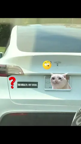 me if i was a tick at a  against parasites protest #tesla 