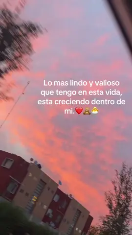 🫶🏻. #paraty #bebe #mitodo #bebeencamino🤰 #viralllllll #revelacion #bebes #bebeencamino #Amor #embarazo #embarazofeliz #viralvideos #paratiiiiiiiiiiiiiiiiiiiiiiiiiiiiiii #mamá #mamaprimeriza 