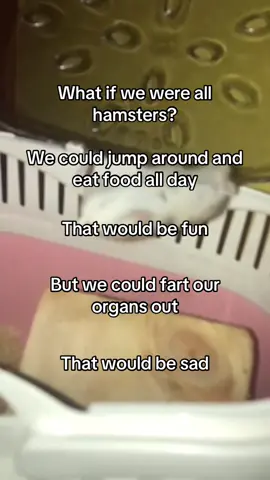 tbh I pmo 💔 #fyp #foryoupagе #treanding #funnytiktok #viralvideos #relatable #sotrue #hamster #whatifwewerehamsters #trends #fartorgansout #unemployed #tspmo 