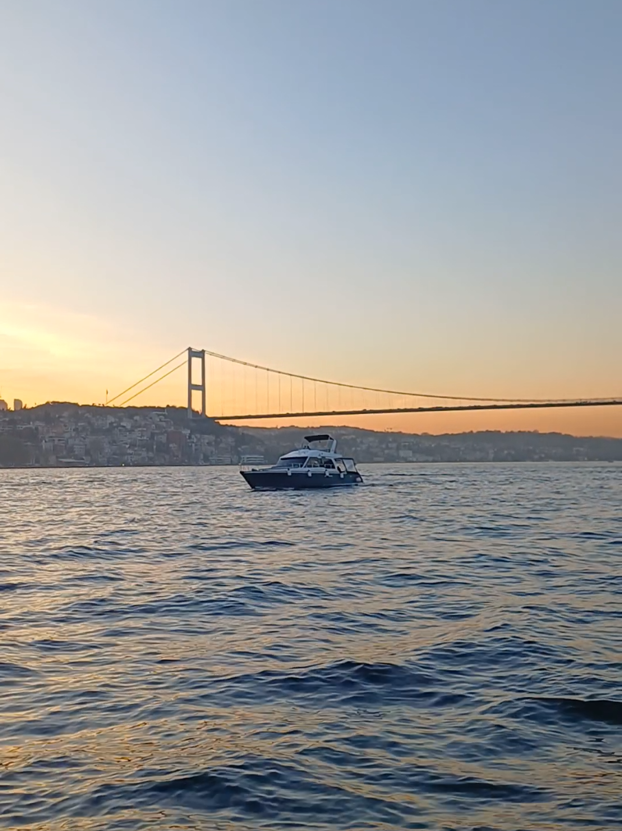 Kötü olanları aranızdan çıkarın.. #kurtlarvadisi  #kurtlarvadisipusu 