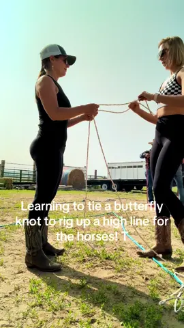 Tying a proper highline for your ponies prevents them from getting injured