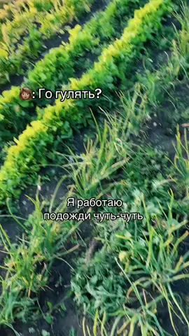 🤭#рекомендации #город