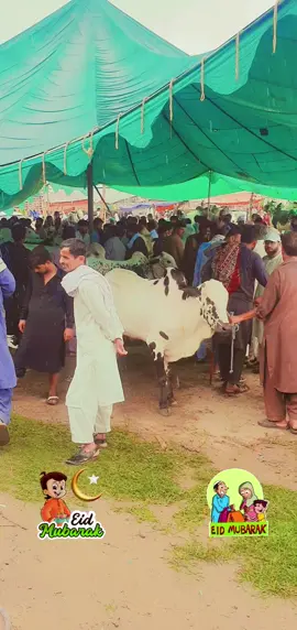 #creatorsearchinsights عید مبارک سب مسلمانوں کو #for you #for you page #🌙🐐🐐#viral @saira @I am single😈😈 @Moeen Akhtar @Arshad javad.57 @Ash_kha9 @🚩CHADUHARY 🏴‍☠️ 