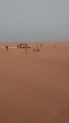 #شاهد | كتيبة سبل السلام، التابعة لرئاسة أركان القوات البرية، تواصل تنفيذ دورياتها الصحراوية لتأمين الجنوب الشرقي، وذلك بمتابعة مباشرة من رئيس أركان القوات البرية، الفريق ركن 