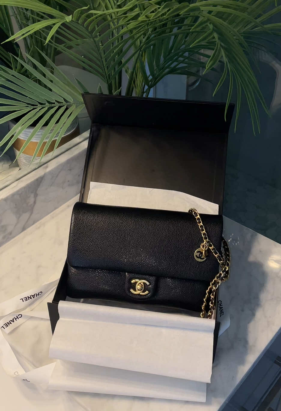 I love this classic caviar definitely a night out bag 🖤 #fyp #bagtok #aesthetic #beauty #bagcollection #pinterestaesthetic #shoppinghaul #blackbag #luxury #fashiontiktok 