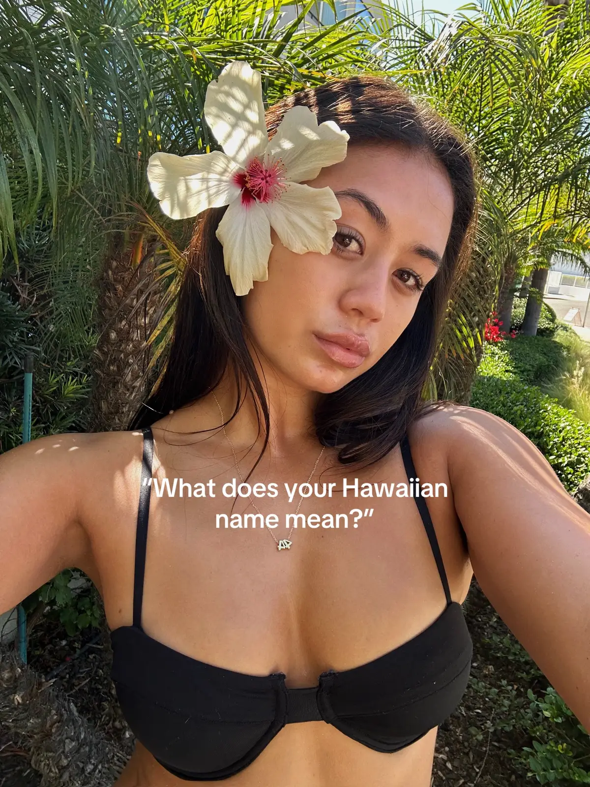 #hawaiian 