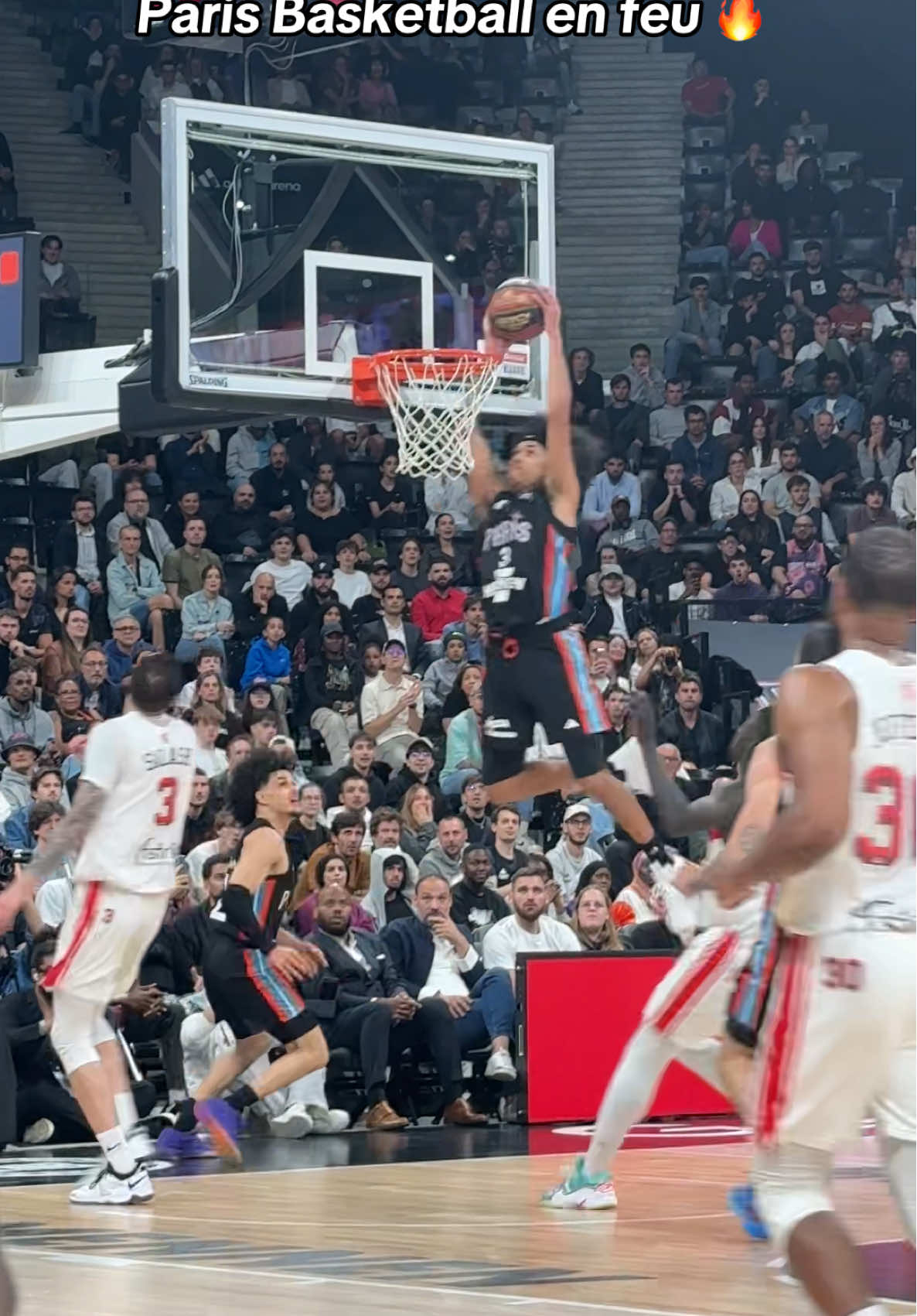 Victoire de @ParisBasketball 🫶 #parisbasketball #adidasarena #basketball 