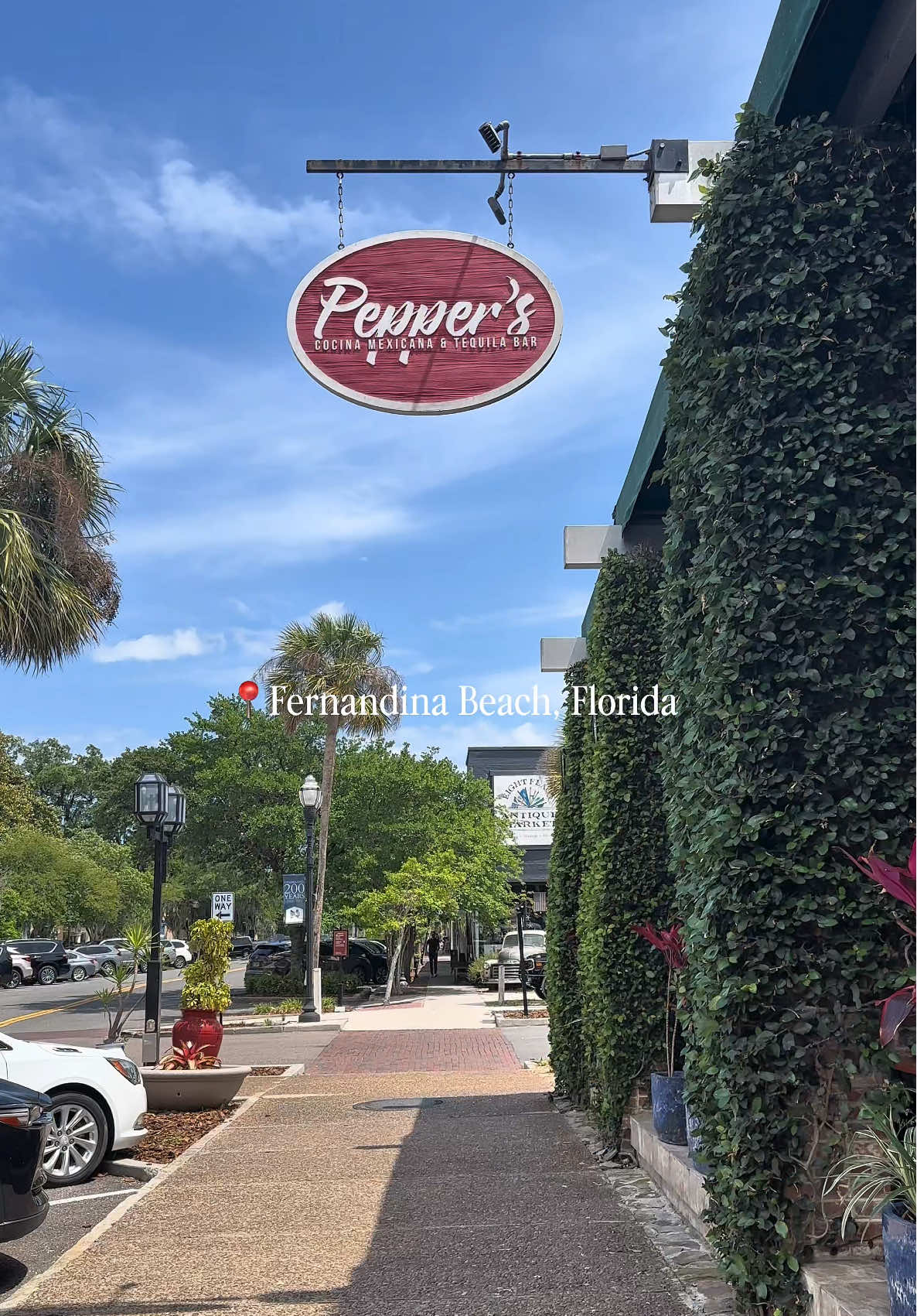 1 hour from Jacksonville is... 🌊🌞🌸🐚🏝️ Fernandina Beach was so cute!! I highly recommend you take a quick drive up for lunch and explore! Have you ever been to Fernandina Beach??? #beachtown #fernandinabeach #floridabeachtown #florida #floridatravel