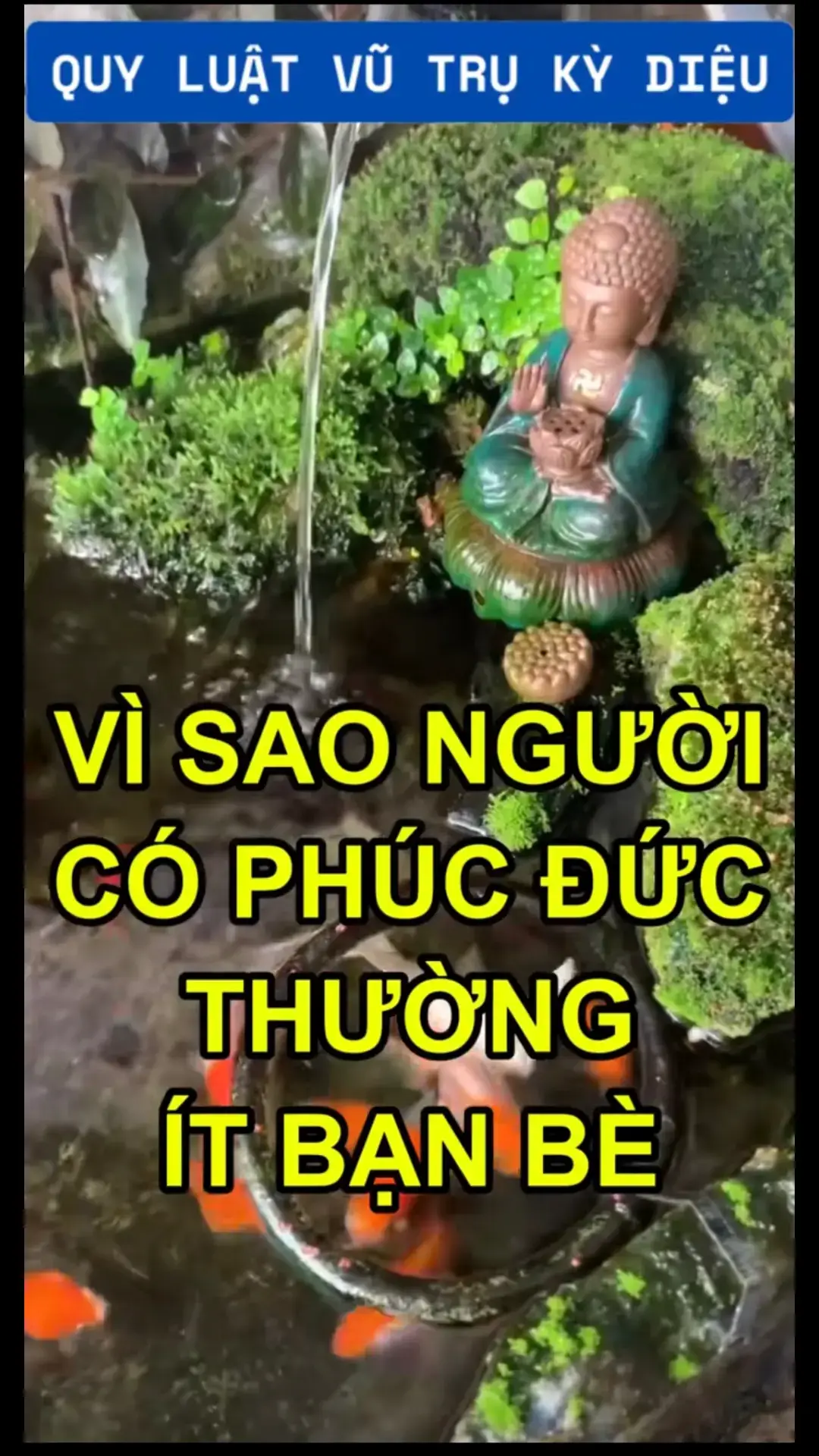 ❤️ vvhp ❤️ gửi ngàn lời yêu thương chúc muôn đều tốt đẹp 