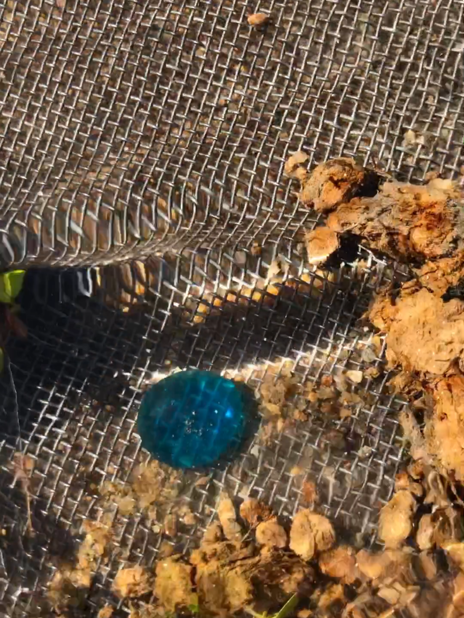 blue rare gems! #satisfyingvideo #satisfying #video