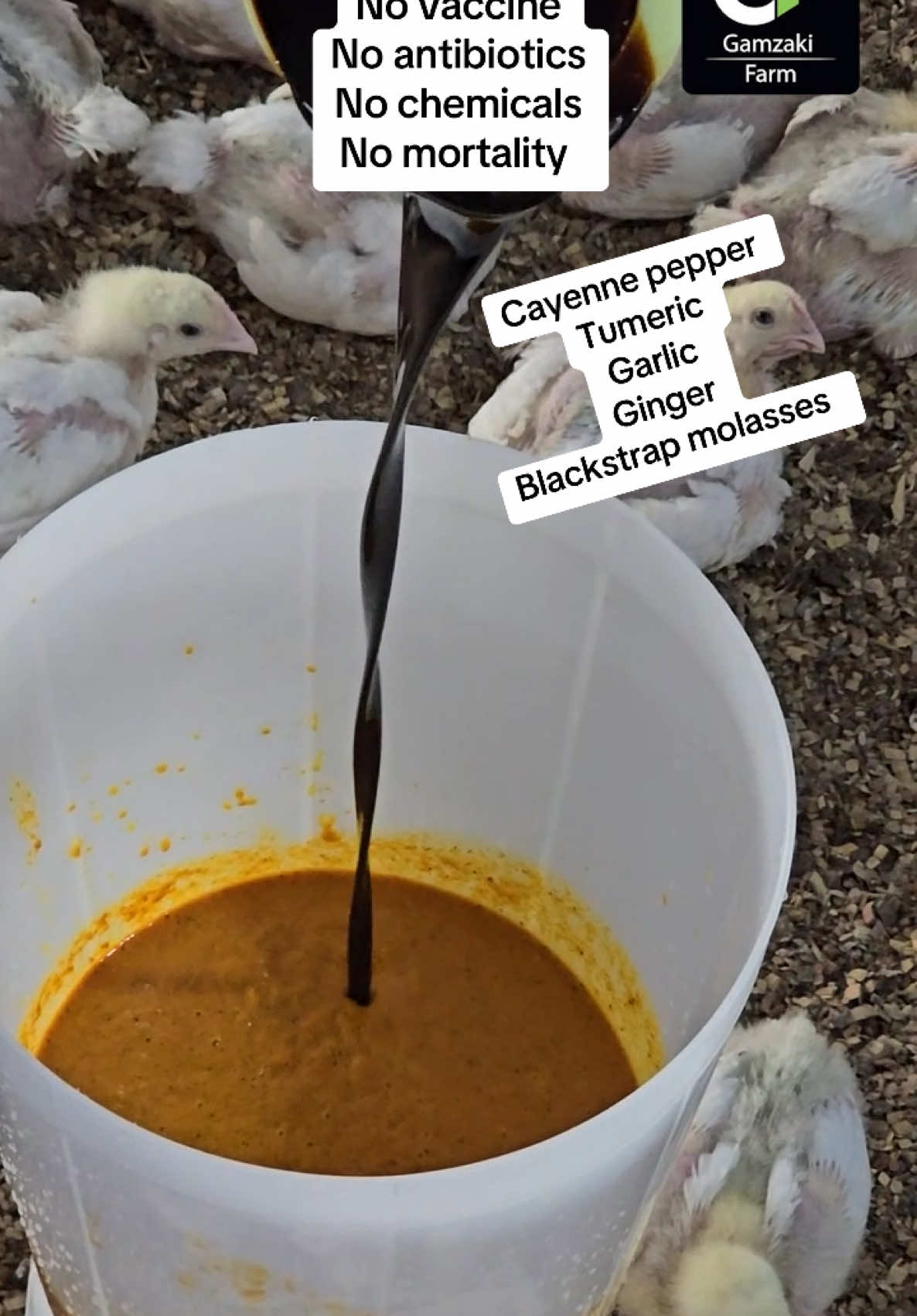 Treatment for mycoplasma mycotoxins flu and weight gain. For 2000 years Africa and America has ignored natural herbs and roots, unlike the Chinese who cherish it. Eat healthy chicken today. #poultryfarming #farmlife #chicken #farming 