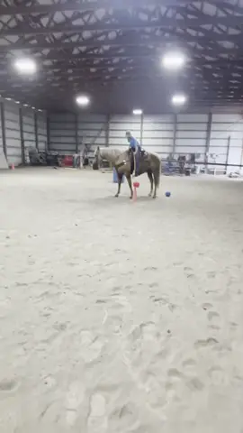 Rainy day shenanigans #horses #ridinginstructorproblems #ridinglessons 