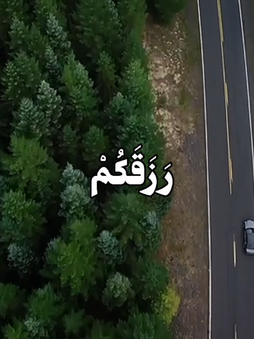 الجزء 9 | ﴿الله الذي خلقكم ثم رزقكم ثم يميتكم ثم يحييكم هل من شركائكم من يفعل من ذلك من شيء سبحانه وتعالى عما يشركون﴾ #سعود_الشريم #قران 