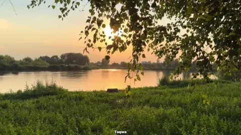 قُرآنٌ صَّباح يوم عرفة ♥ يومٌ يبدأ بالقُرآن ، يومٌ تغمُرُه البركة والسكينة ♡゙. #قرآن_كريم #قرآن #quran #fyp  #الشيخ_محمود_علي_البنا #يوم_عرفة 