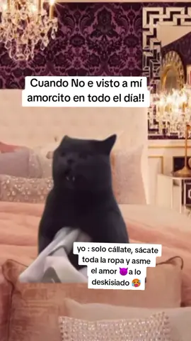 a lo deskisiado 😈🥵@otorres.30 #Meme #MemeCut #CapCut 