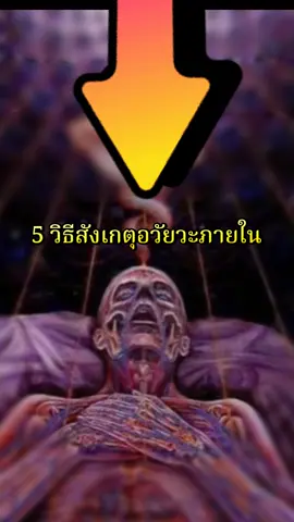 Dr Kan อวัยวะในร่างกาย #เรื่องน่ารู้ #ความรู้ #สุขภาพ #ชีวิต #ร่างกาย #รักสุขภาพ #อาการมันเป็นยังไง #เรียนรู้ #พบหมอ #หัวใจ #ตับ #ไต #ปอด #ม้าม #อวัยวะภายใน 