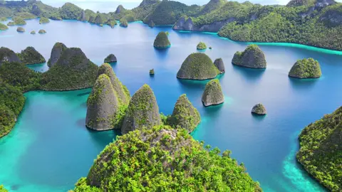 The Last Paradise RAJA AMPAT, INDONESIA Raja ampat secakep ini hanya kamu bisa nikmatin lewat layar hp #saverajaampat #pesonaindonesia #rajaampat #rajaampatislands 
