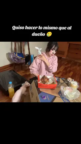 casi se nos va Billie gente  #emetsuki #emet #emetsukiclips #gloglo #mascota #humor #clip #perupe #viral_video_tiktok #paratiiiiii #fypシ゚ #kickperu💚 #irl #xdd #bajedepepa 