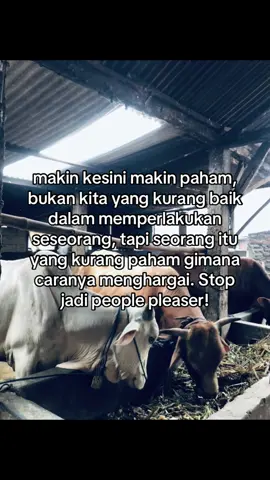 #fbrynwhy #peternakmuda #fyp 