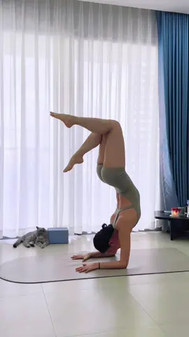 Mình vẫn đang học cách giữ tâm không động giữa thế giới xao động ngoài kia. Việc này không phải trốn tránh mà chỉ là học cách thấu hiểu và chấp nhận 🤍✨  #kaylinyoga #yoga1kem1 #yoga #yogaonline 