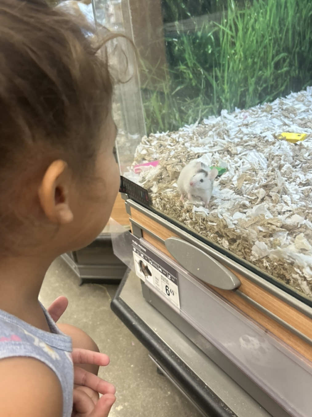 This little girl is obsessed with animals and I love it #motherhood #momlife #viral #fyp #girlmom #sahmlife #sahm #animallover #toddlersoftiktok #toddlermom 