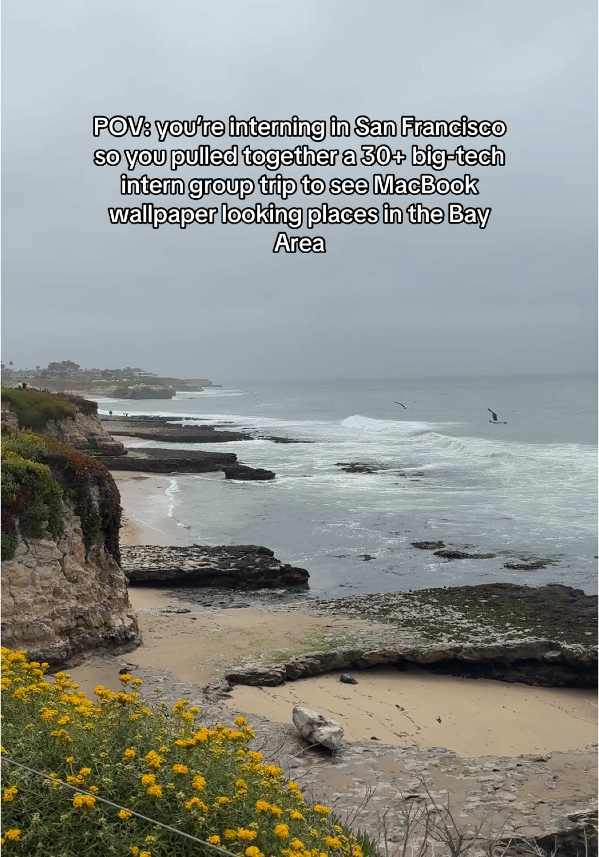 Comment if you’re also in the Bay Area and connect with each other in the comment section  #fypage #techtok #intern #corporate #compsci 