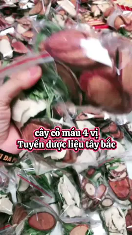 Cỏ máu 4 vị  #giuptangcuongsuckhoe #tangcan #tangcanantoan #boibocothe #tuyenduoclieutaybac 