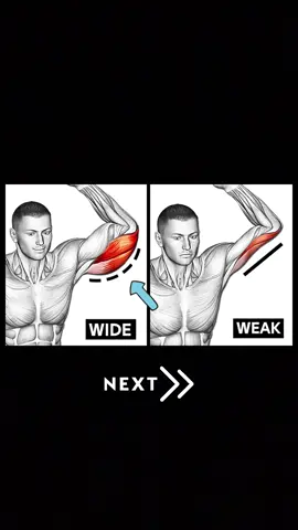 Triceps day 