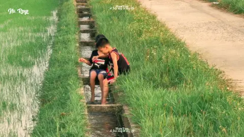 🏡 Nắng mới ở quê nhà vừa dịu dàng, vừa quen thuộc, vừa làm lòng người nôn nao. Cứ thế, hè về, lại thấy mình như bé lại, hít hà mùi đất nồng sau cơn mưa rào bất chợt, và mong một bầu trời đêm đầy sao, để biết rằng mai lại là một ngày nắng mới.