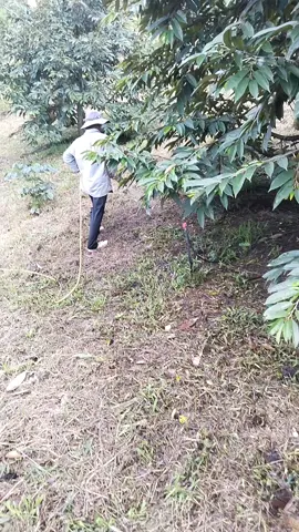 #xuhướng zô Kali vs đếm ngược về đích nè 🥴🥴🥴