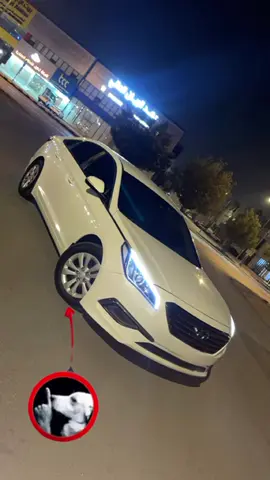 #وحيدين_اشبيليا #سوناتا16 