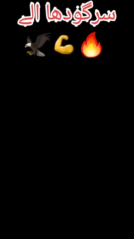 PART 2009✔helo tik tok❤️👸🏽😚 سرگودھا الے 💯💪🔥#unfreezemyaccaunt🙏🙏🙏 #sargodhawaly🥀viral #taranding_video_tiktok #reepost_video #tiktokpakistan #foryoupage #foryou #foryou #foryou @RanaFaisalOfficial786 @ذیشان اعوان جھال چکیاں آلہ @✊(فخرے سرگودھا)🚩جگا راجپوت✊ @Mujjadid.Sheikh🖤🥀 @Ghufran Elahi @🦅MUGHAL🦅 @✊(فخرے) مرزا سرگودھے الا 🚩✊🔥 @سرگودھا الا✌️🦅 @❤️بری سلطان جوئیہ ❤️ @سردار عبید ڈوگر @احمد _ مرتضی❤️‍🩹 @⛳️قریشی احسان سُکھا🦅 