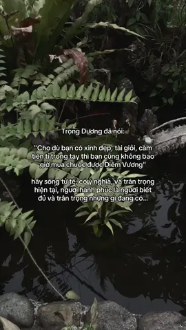…#tamtrang #story 