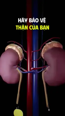 Hãy bảo vệ thận bạn nhiều hơn #than #soithan #suckhoe #namgioi #phunu 