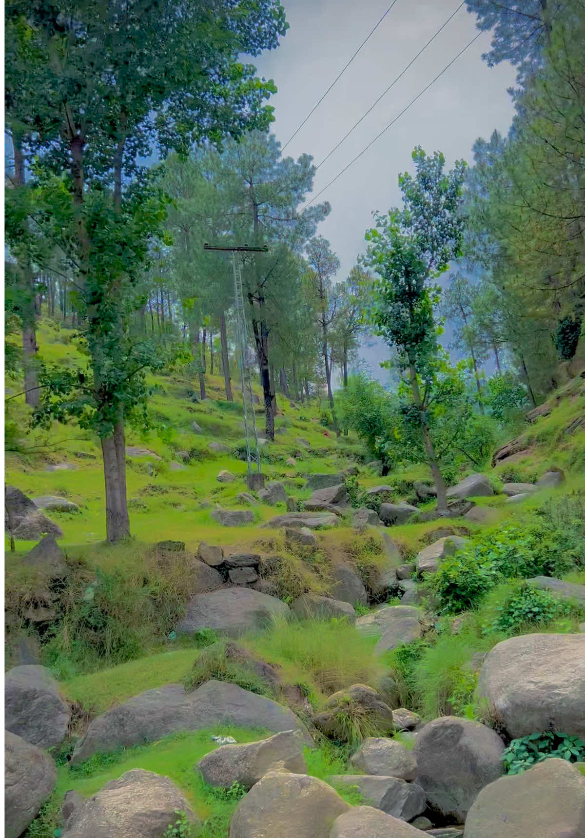 Song__🥹🌸.   #sajjad77 #sirenvalley #unfrezzmyaccount @sajjad____77 